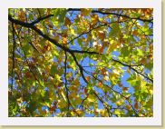 2005-10-28 13-35-41 DeYeuro 78,1mm 1_200_eme F5,0 * 2592 x 1944 * (3.25MB)